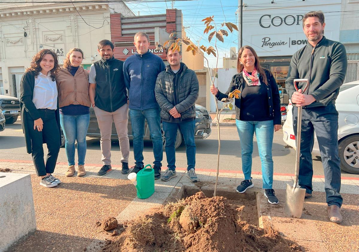 LA MUNICIPALIDAD COMENZÓ LA PLANTACIÓN DE 60 ÁRBOLES DONADOS POR LA FUNDACIÓN CARGILL