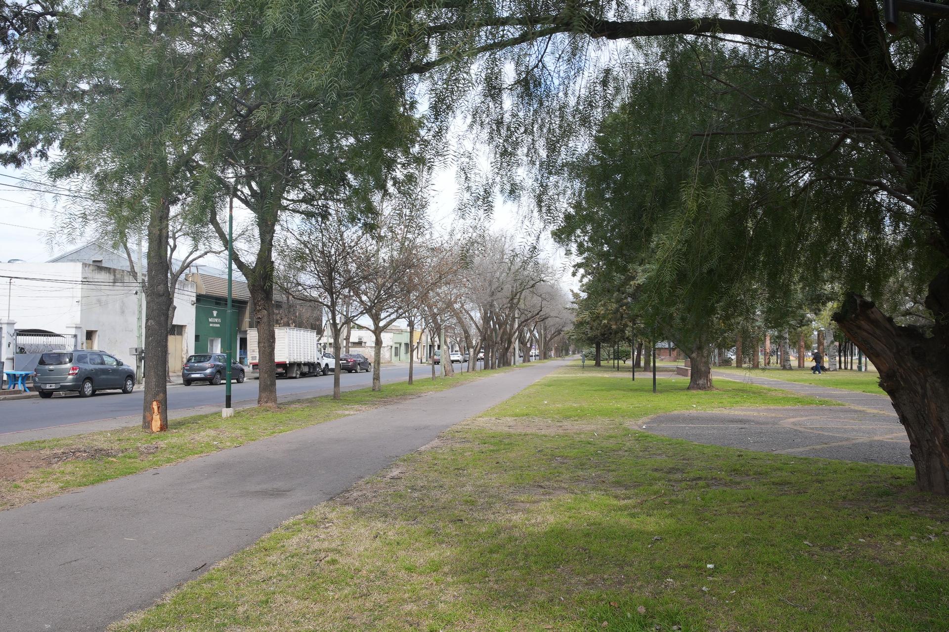 “EL FUTURO ES VERDE”: LA INICIATIVA PARA SUMAR ÁRBOLES A LAS VEREDAS CONTINÚA VIGENTE